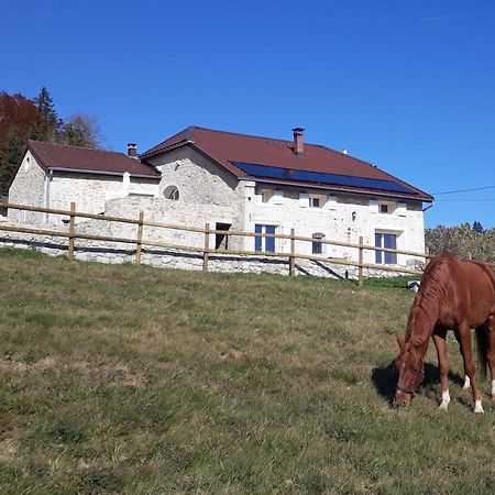 Gite Des 3 Marches Lamoura Esterno foto
