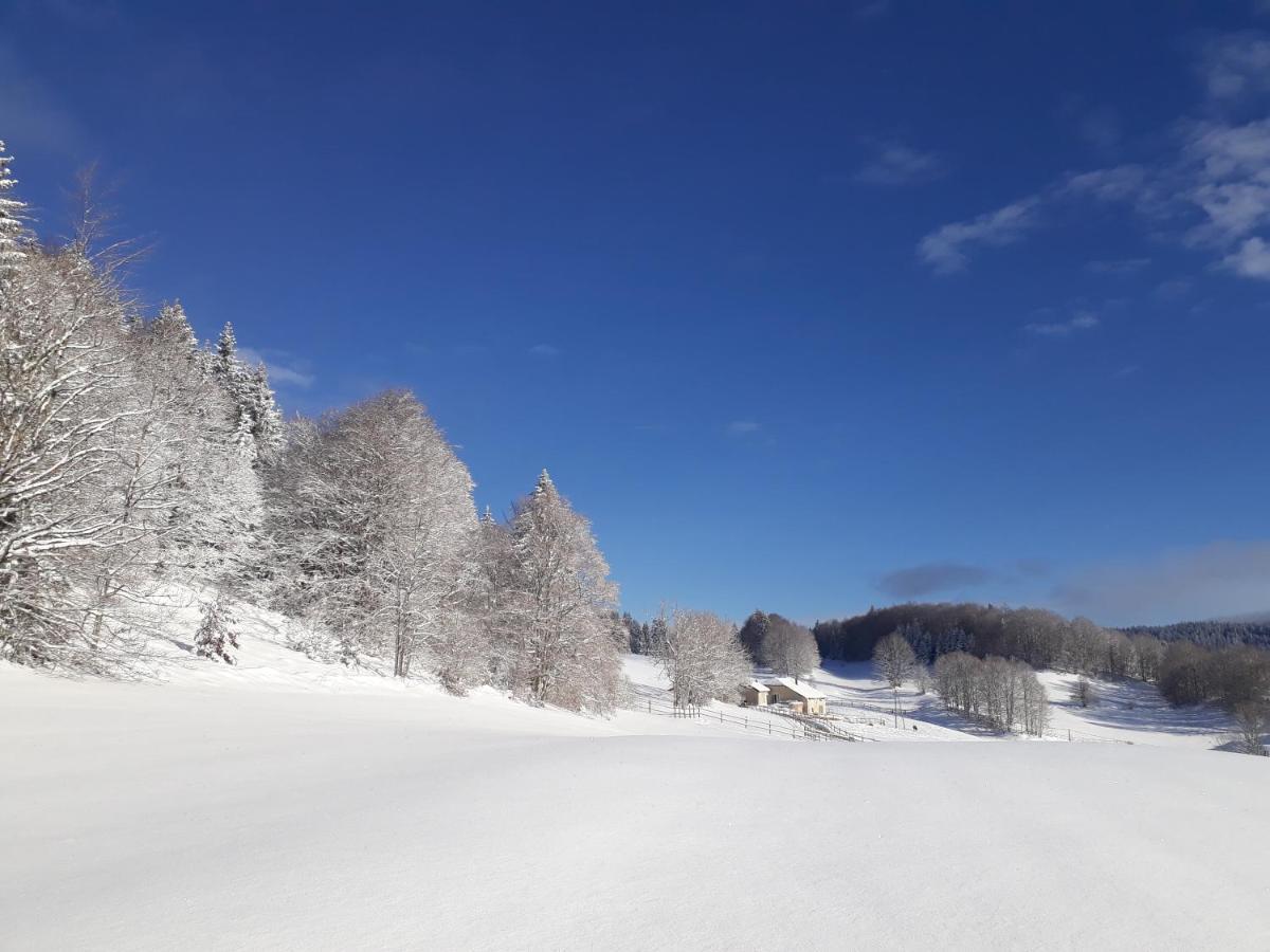 Gite Des 3 Marches Lamoura Esterno foto