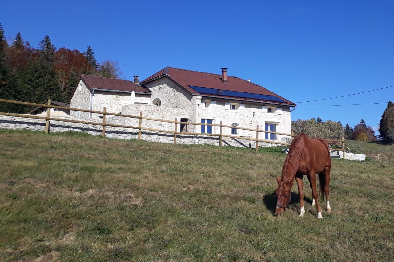 Gite Des 3 Marches Lamoura Esterno foto